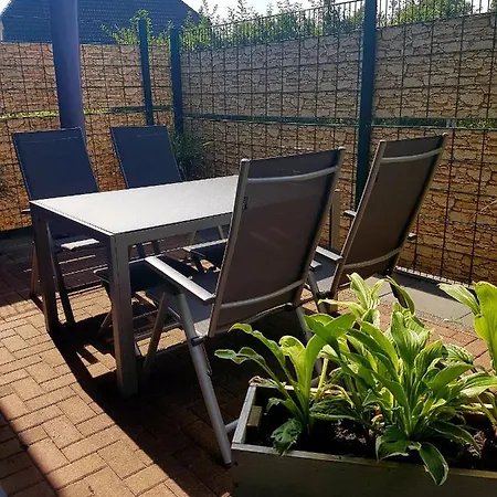 Eulennest Im Souterrain Elten