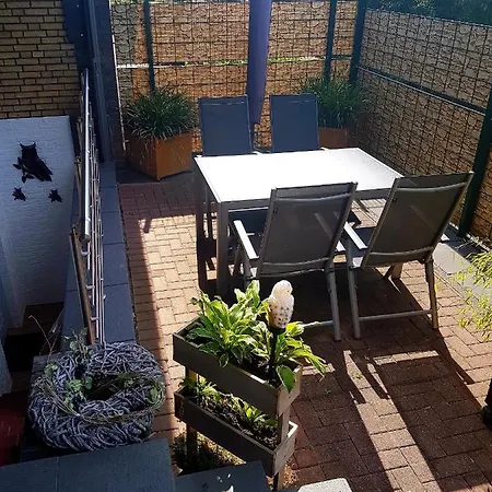 Eulennest Im Souterrain