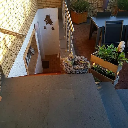 Eulennest Im Souterrain *