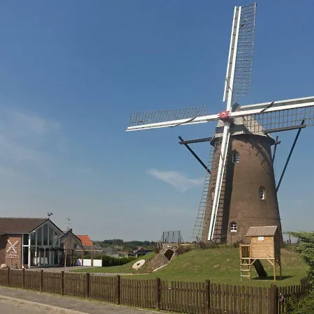 Eulennest Im Souterrain * Elten