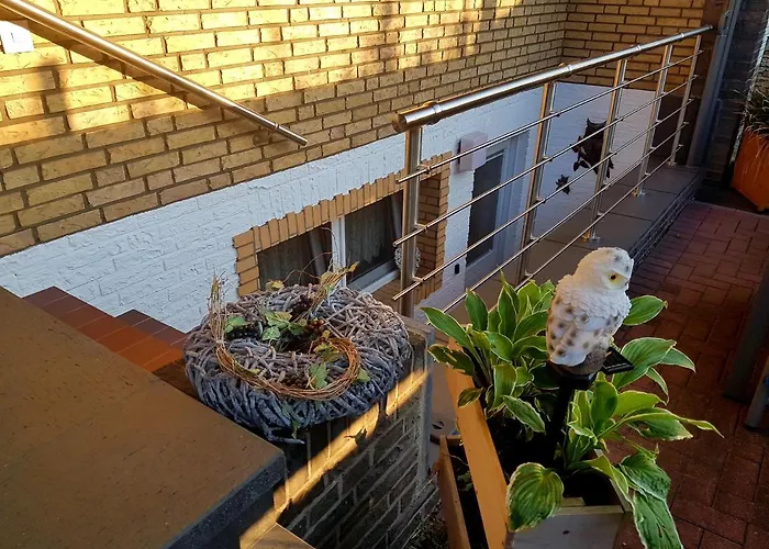 Eulennest Im Souterrain