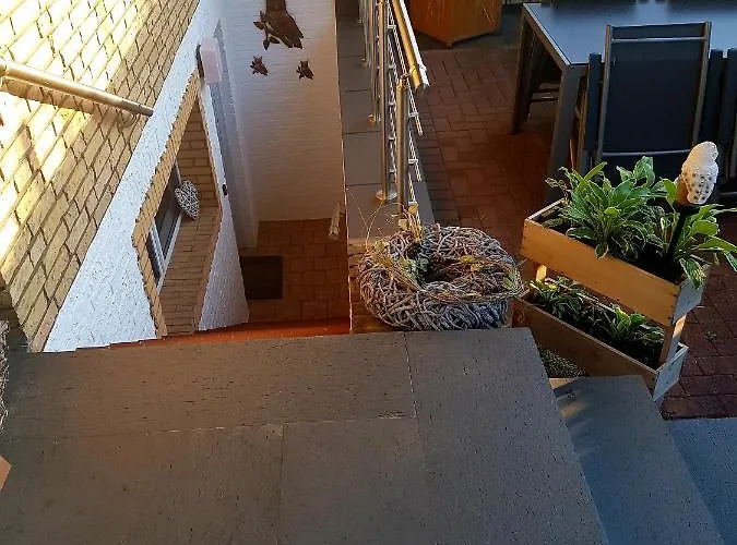 Eulennest Im Souterrain *