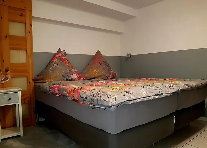 Eulennest Im Souterrain *